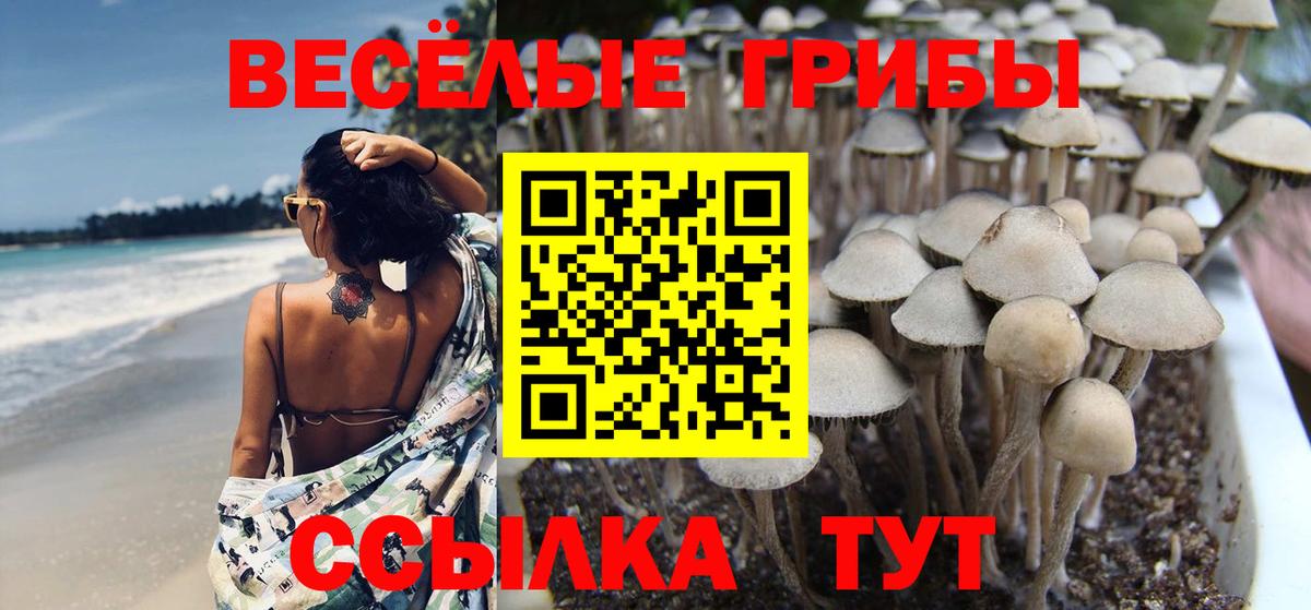Псилоцибиновые грибы мицелий  Вход с VPN  Галлюциногенные грибы GOLDEN TEACHER  Ликино-Дулёво 